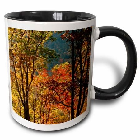 3dRose USA, Tennessee. Fall foliage in the Smoky Mountains. - Two Tone Black Mug, (Best Falls In Tennessee)