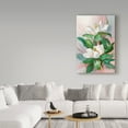 thumbnail image 3 of Trademark Fine Art 'Classic Magnolia' Canvas Art by Barbara Mock, 3 of 3