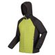 thumbnail image 3 of Regatta - Chaqueta Acolchada Andreson VII Hybrid para Hombre (Algas Verdes, Gris Seal), 3 of 3