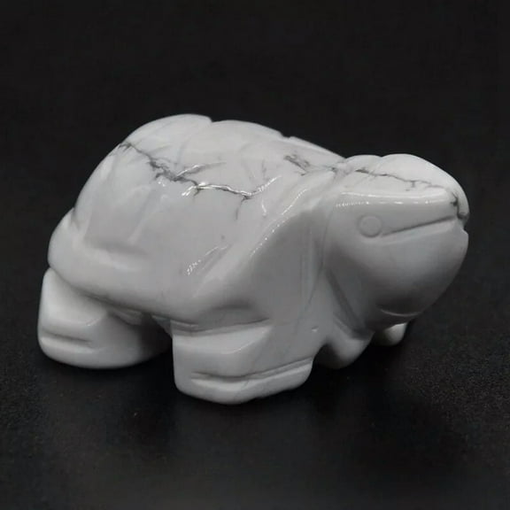 K-KED 5Pcs Natural White Howlite Turquoise Quartz Crystal Carved Turtle Chakra Stone