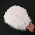 thumbnail image 1 of 10 Uds. 30-35cm plumas de avestruz grandes decoración artesanal para fiesta de boda, 1 of 5