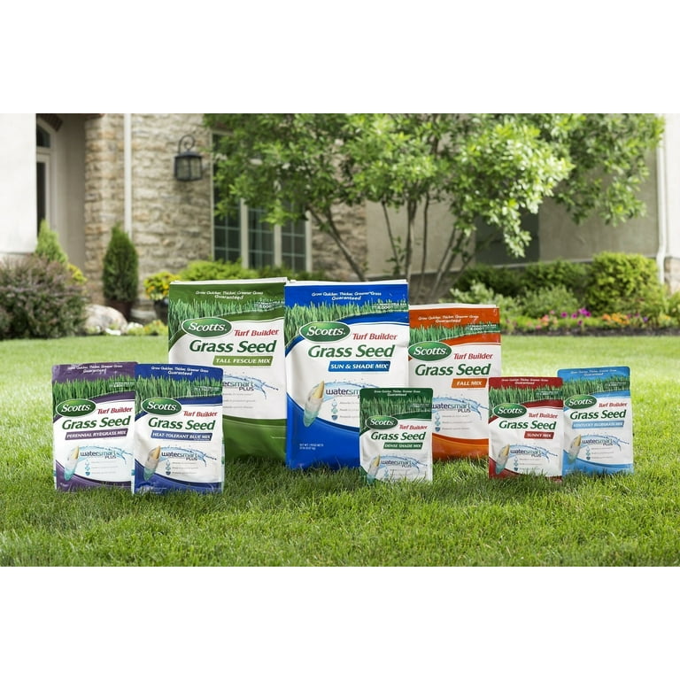 Scotts grass seeder deals