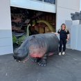 thumbnail image 3 of Hippo Life Size Statue, 3 of 8