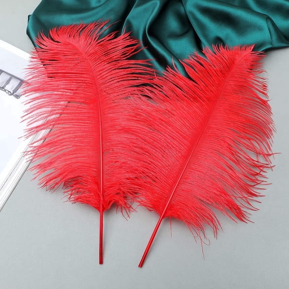 10 pcs Natural Red Ostrich Feathers Plumes 14-16 inch(35-40 cm) Bulk for and DIY Clothes Decoration, Gatsby Decorations, Wedding Party Centerpieces