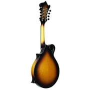 Morgan Monroe RT-FMTB Rocky Top F Style All Solid Wood Mandolin