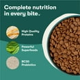 thumbnail image 5 of Jinx Cage-Free Chicken, Brown Rice & Sweet Potato Dry Dog Food, 11.5 lb. Bag, 5 of 11
