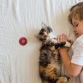 thumbnail image 3 of 10pcs de Navidad Pet Gato Patch Ball Ball Kitten Teaser mordisco para gatito de gato de mascotas (color aleatorio), 3 of 6