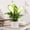 2Pcs plastic garden trellis for vines Under $5 a1, variant on Uscallm Climbing Plant Trellis Outdoor Garden Support 6PCS Plastic Plant Stakes for Vines Tomatoes Cucumbers Indoor Potted Plants Trellis