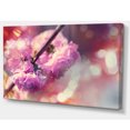 thumbnail image 2 of Beautiful Almond Tree Flowers - Floral Canvas Art Print, 2 of 3