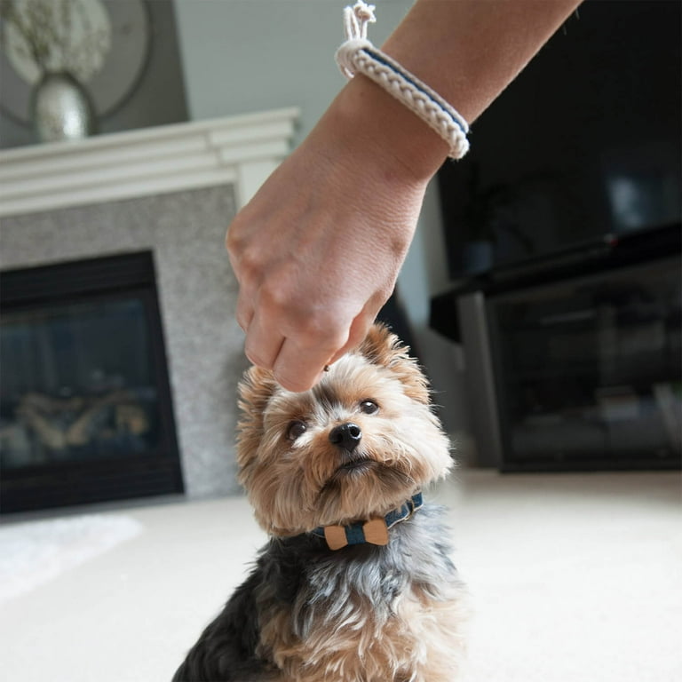 Dog and owner matching sale collar and necklace