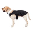 thumbnail image 4 of Mascota perro traje Bandana pajarita conjunto para boda accesorio fiesta camisa exquisita costura perro ropa ligero elegante negro , Talla XL Sunnimix príncipe esmoquin, 4 of 8