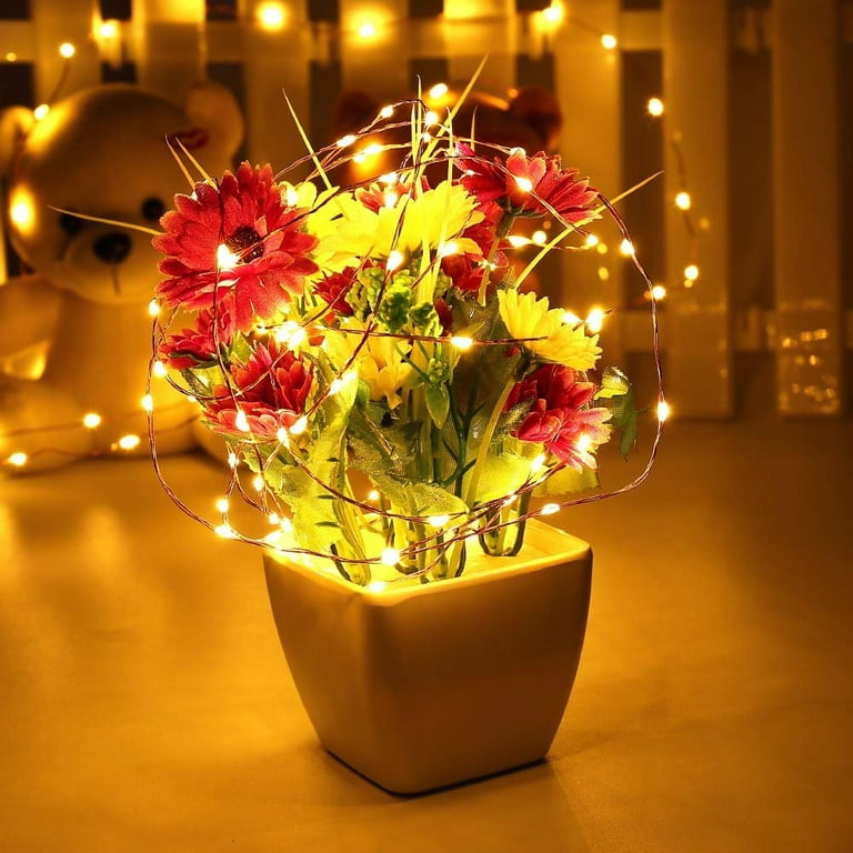 Qedertek Rope String Lights Outdoor Decoration Lights,33ft100 LED Waterproof Fairy Copper Wire Solar String Lights for Indoor Outdoor Patio,Lawn,Garden (Warm white) Qedertek Rope String Lights Outdoor Decoration Lights,33ft100 LED Waterproof Fairy Copper Wire Solar String Lights for Indoor Outdoor Patio,Lawn,Garden (Warm white)