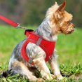 thumbnail image 2 of Arnés para perros, chaleco reflectante transpirable para perros pequeños, talla S, rojo., 2 of 4
