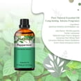 thumbnail image 2 of PHATOIL Peppermint Essential Oils for Diffusers Humidifier 100% Pure Natural Aromatherapy Massage Bath Sleep Relaxation 30ml/1.01 fl.Oz, 2 of 6