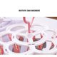 thumbnail image 2 of Colgador de Tela JShteea para Calcetines Plegable 16 Clips Rosa, 2 of 5