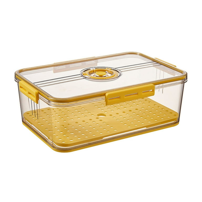 Plastic Food Storage Box Container With Lid And Drain Tray Timing Function Fridge  Produce Saver Refrigerator Organizer