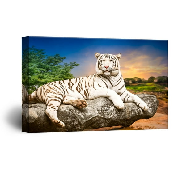 wall26 Canvas Wall Art - White Tiger Lying on The Rock - Giclee Print Gallery Wrap Modern Home Art Ready to Hang - 12x18 inches