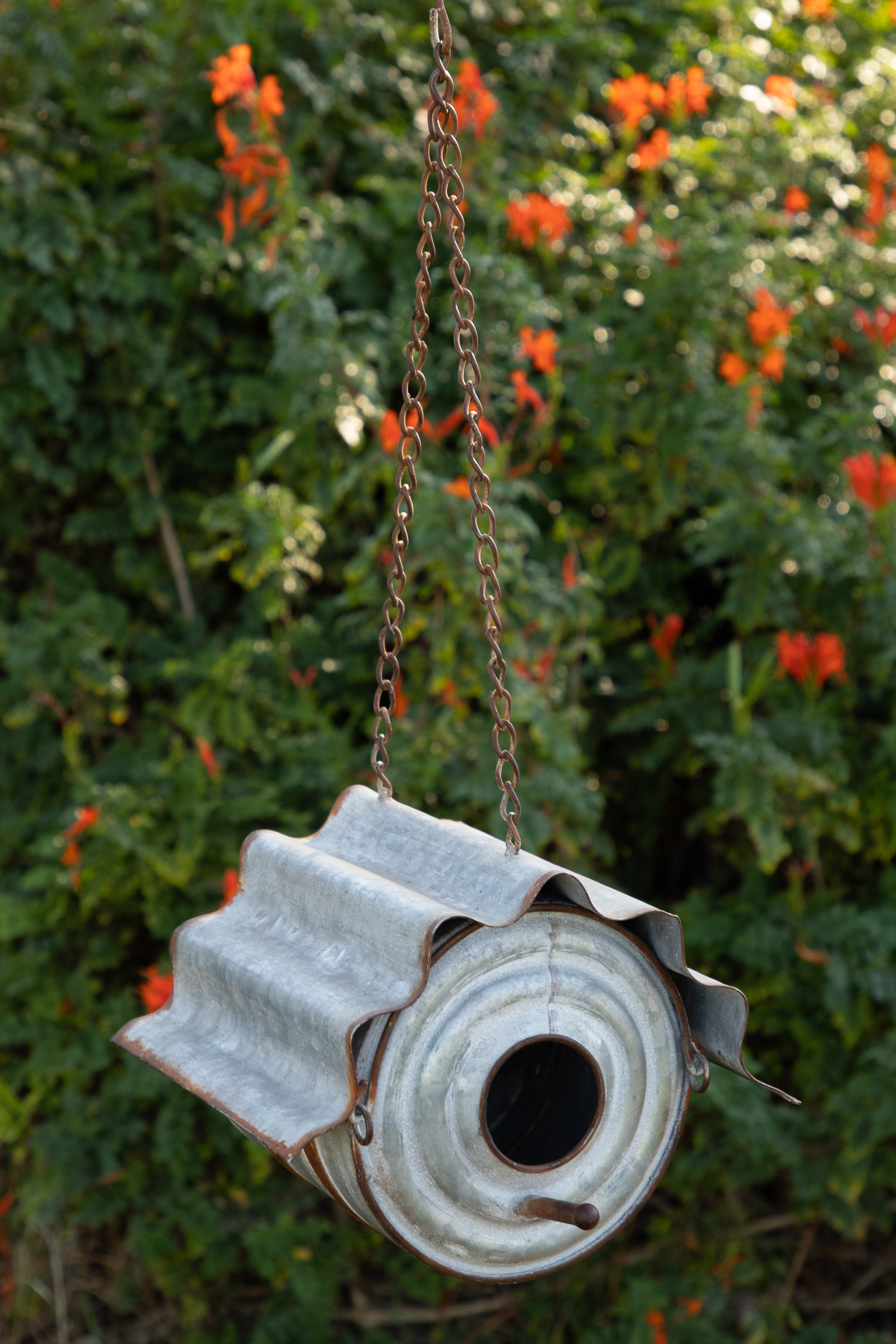Alpine Corporation 7Inch Hanging Metal Tin Can Bird House, White