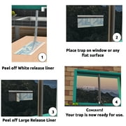 Flies & Bug Window Fly Trap - Indoor / Outdoor Non Toxic Clear Window Fly Traps