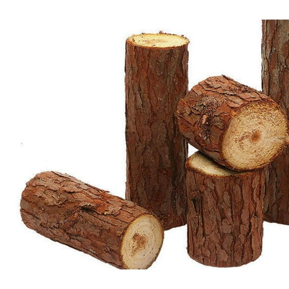 QIDITONG 4pcs Natural Wooden Stump Miniatures For Hamster Decor Suitable For Small Animal Habitat Rustic Creative Tree Stump Decorations