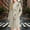 Beige, variant on Plus Size Casual Hooded Coat Winter Warm Long Sleeve Daily Wear Solid Color Button Front Tunic Top With Pockets Outerwear Jacket,Womens Hooded Overcoat Winter Lapel Collar Trench Coat Snap Button