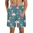 thumbnail image 1 of Fotbe Flamingo Trajes de Baño Estampados para Hombre, Shorts de Verano de Secado Rápido, Ropa de Playa, Bañadores-3X-Large, 1 of 6