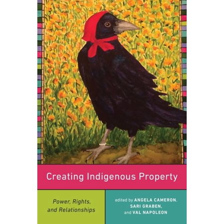 Creating Indigenous Property: Power Rights and Relationships (Paperback)