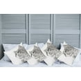 thumbnail image 2 of Ambesonne Animal Throw Pillow Cover 4 Pack, Cat Portrait Kitten, 20", Grey White, 2 of 7
