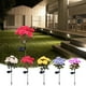 thumbnail image 1 of 7 luces solares LED para estacas en el jardín de rosas - Plástico impermeable exterior, encendido/apagado automático, iluminación decorativa para caminos, rosa fuerte amarillo púrpura blanco azul, 1 of 6