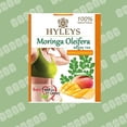thumbnail image 5 of Hyleys Moringa Oleifera Green Tea Mango Flavor 50 Ct- 300 Tea Bags (6 Pack), 5 of 8