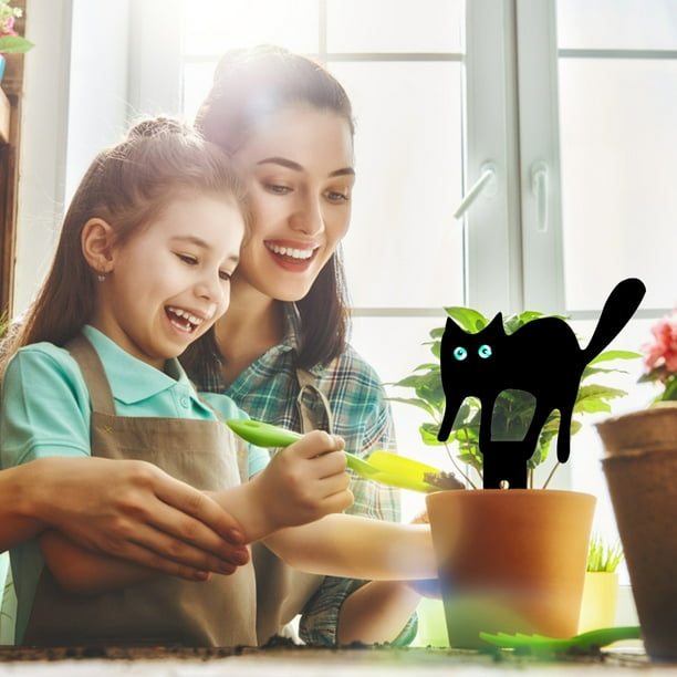 onlyliua Ofertas Del Prime Day de Hoy 2024 Inserto Acrílico Negro para Decoración de Jardín de Mascotas.