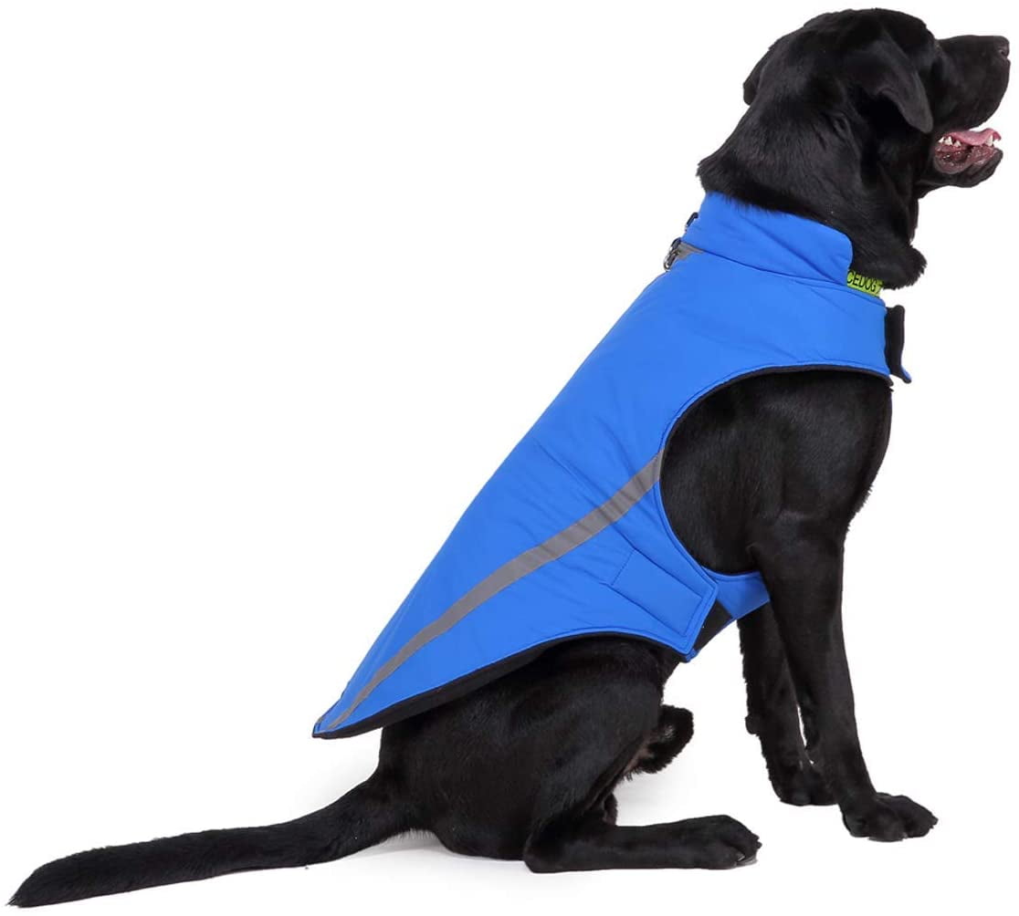 dog walk fleece lined jacket