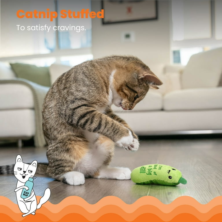 Catnip pickle 2025