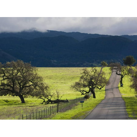 Trees and Country Road, Santa Barbara Wine Country, Santa Ynez, Southern California, Usa Print Wall Art By Walter (Best Apple Trees For Southern California)