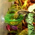 thumbnail image 5 of Auto Feeder 4pcs Aquarium Cone Feeders Red Worm Fish Tank Plant Shrimp Feeders Fish Feeding Cups, 5 of 5
