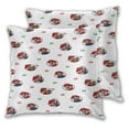 thumbnail image 2 of Fundas de almohada de Mario, paquete de 2 fundas de almohada para sofá cama, sala de estar, 20 x 20 pulgadas, 2 of 8