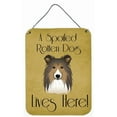 thumbnail image 2 of Carolines Treasures BB1490DS812 Sheltie Spoiled Dog Lives Here Wall and Door Hanging Prints, 2 of 2