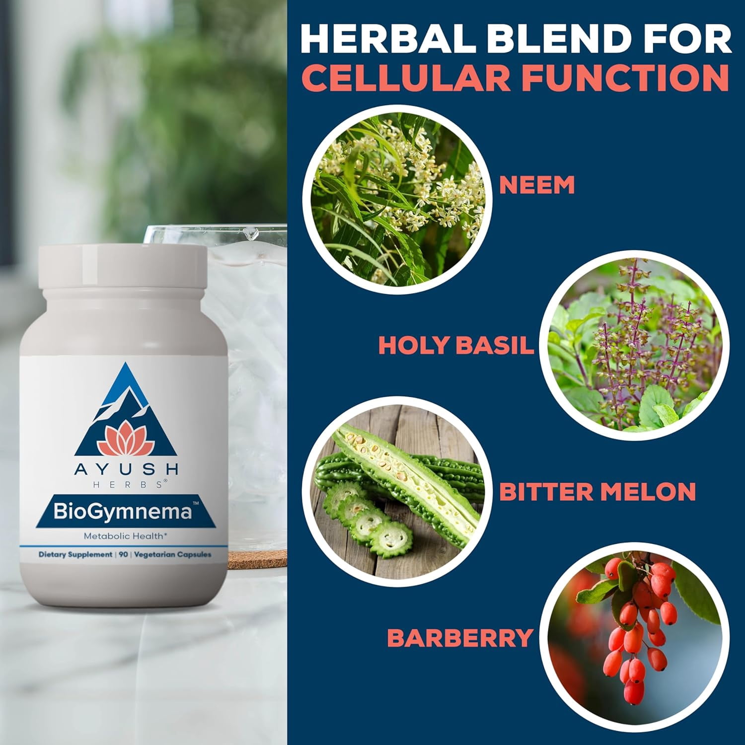 Ayush Herbs BioGymnema Metabolic Support Supplement with Berberine and Chromium, 90 Capsules