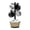 Black, variant on Black Wood Mug Tree with Woven Basket Countertop Cup Display Organizer