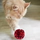 thumbnail image 4 of 20 piezas bola arrugada juguete para gato pelota gatito ejercicio gatito juguete bola de papel, 4 of 5