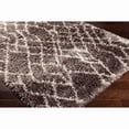 thumbnail image 2 of Surya RHA-1017 Shag Area Rug - Brown / Parchment, 2 of 5