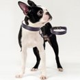 thumbnail image 3 of Collar básico clásico de cuero acolchado para mascotas para perros pequeños a medianos MFZFUKR CPB-US-YY411-2, 3 of 5