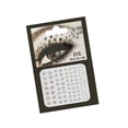 thumbnail image 1 of Face Jewelry / Self Adhesive Rhinestones - Face Gems Transparent, 1 of 5