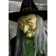 View all media