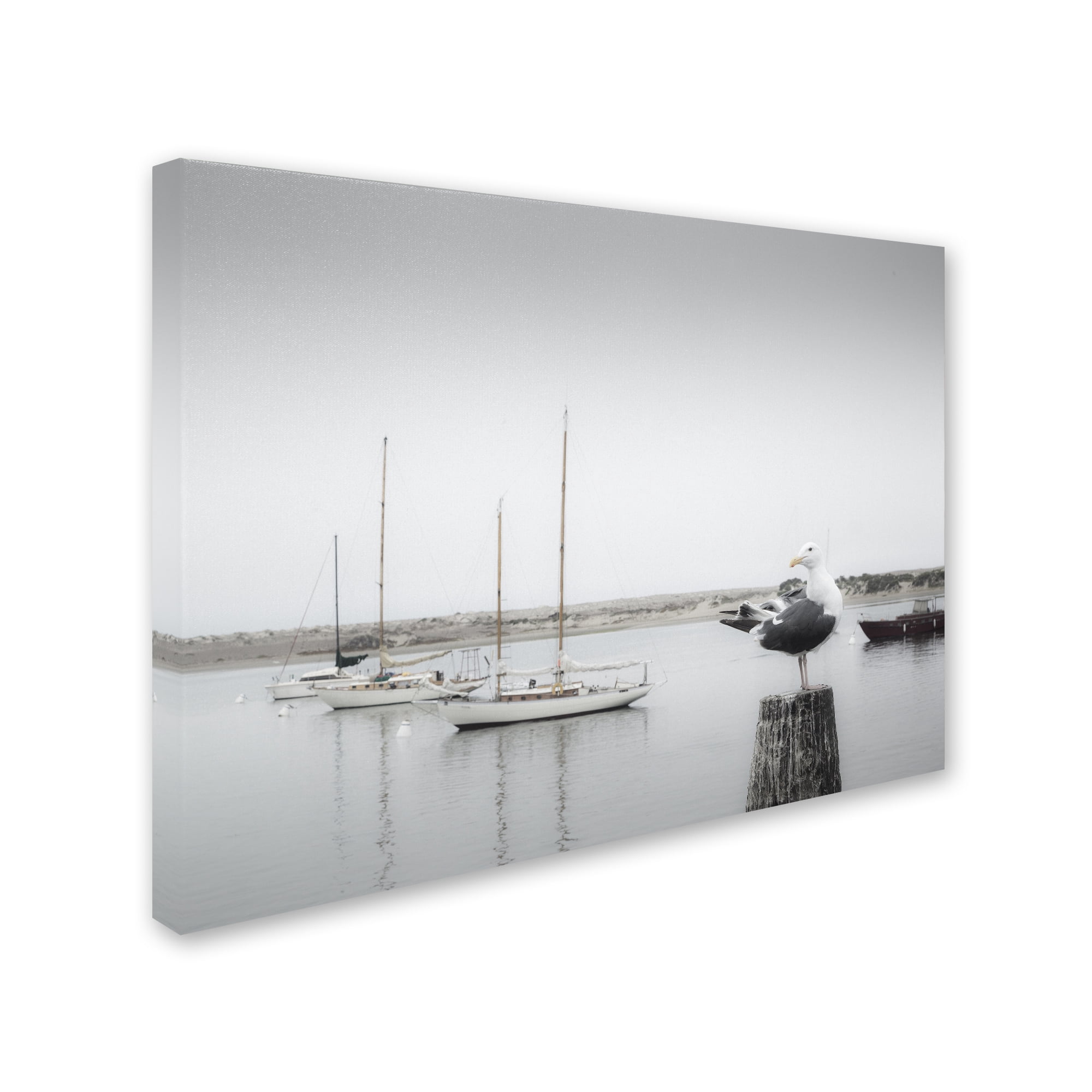 "Four Boats and Seagull" Canvas Art by Moises Levy