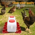 thumbnail image 3 of Chickengua de pollo, dispensador de pollo automático de pollo plásado higiénico práctico para granja, 3 of 7