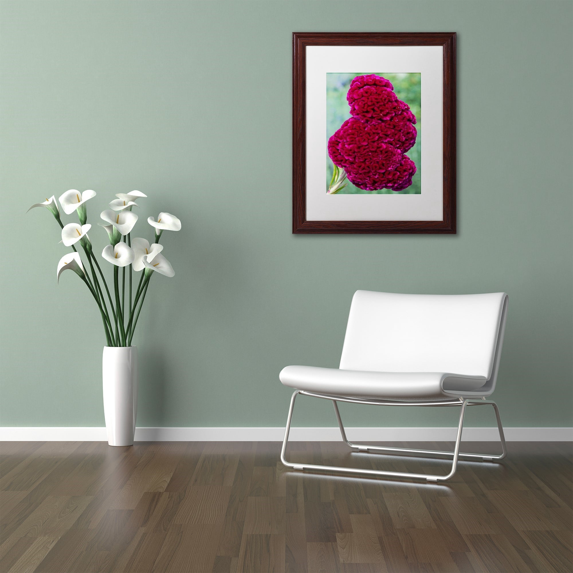 Trademark Fine Art "Coxcomb Flower" Canvas Art by Kurt Shaffer, White Matte, Wood Frame