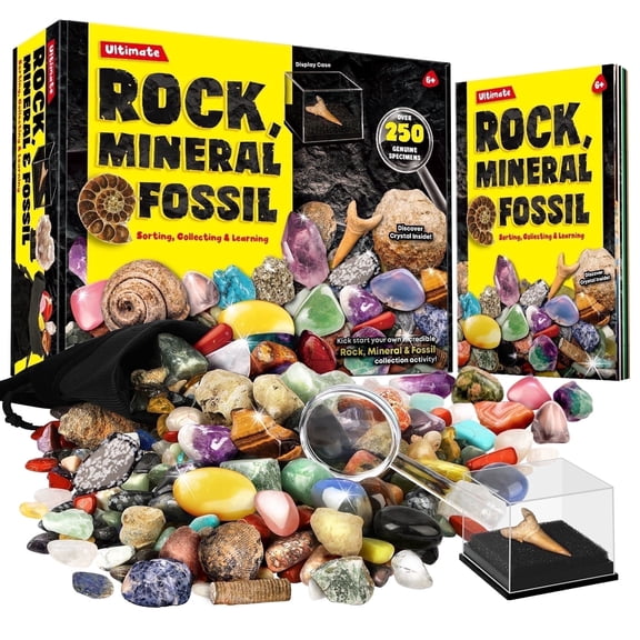 Piano Potato 250  Rocks Minerals & Fossils Collection Kit, Real Gemstones & Crystals ID Set, Geology Gift for Kids Age 6 