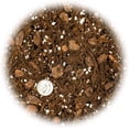 thumbnail image 4 of ⭐ PREMIUM ://N ★ LOVA House Plant Potting Mix | Fern + New Zealand Bark + Perlite | Great for Pothos, Spider Plants, Montsera, Philodendron, English Ivy - 3 Quart Bag, 4 of 7