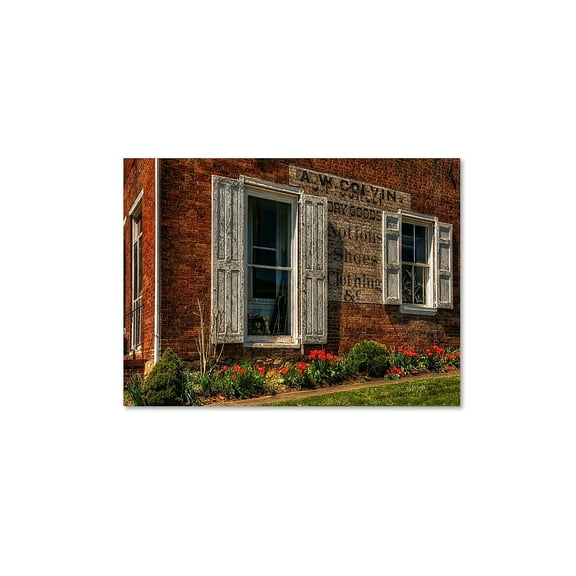 Trademark Fine Art "Country Store" Canvas Art by Lois Bryan